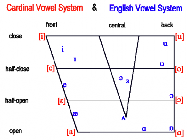 The system английский. Cardinal Vowels Daniel Jones. The System of 8 Cardinal Vowels.. Vowel phonemes of the English language Cardinal Vowels. The System of English Vowels.